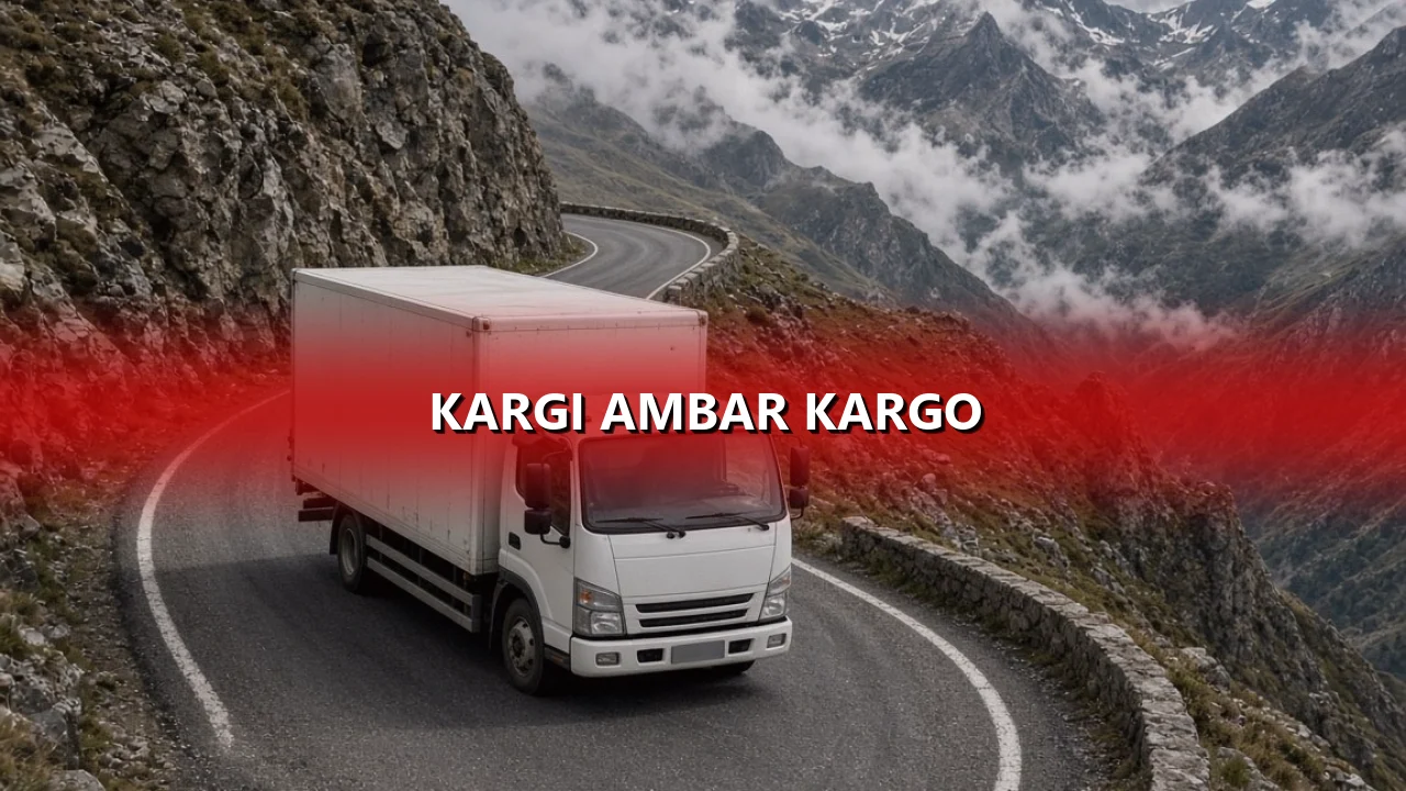 Kargı Ambar Kargo