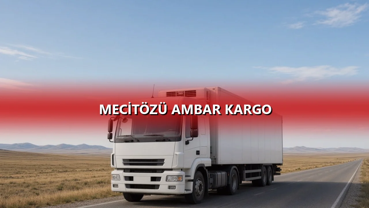 Mecitözü Ambar Kargo